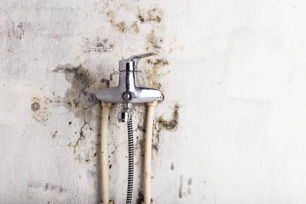 Best Kitchen Mold Remediation in Hominy, OK